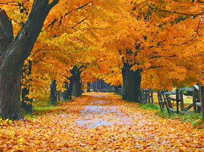 D&iacute;a de oto&ntilde;o